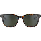 AXIN, Havana Shiny-Axis Polarized, hi-res image number null